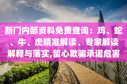 新門內部資料免費查詢：雞、蛇、牛、虎精準解讀、專家解讀解釋與落實,留心欺騙承諾危害