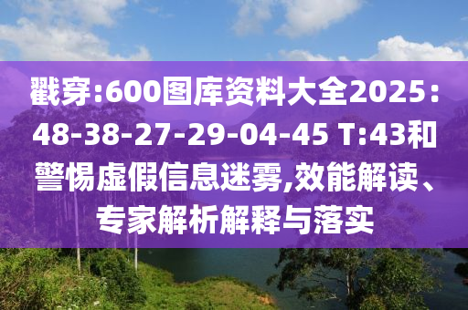 戳穿:600圖庫資料大全2025：48-38-27-29-04-45 T:43和警惕虛假信息迷霧,效能解讀、專家解析解釋與落實(shí)
